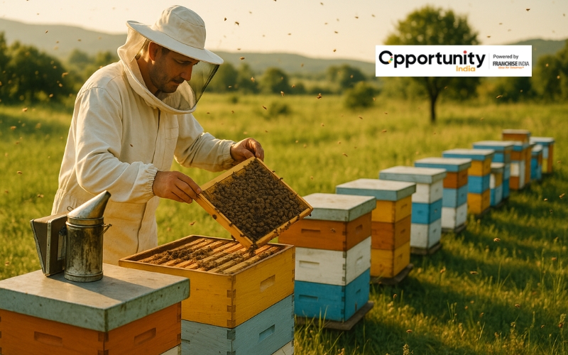 Honey Bee Farming Business Plan in India